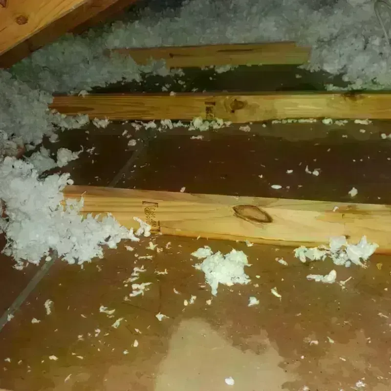 Attic Water Damage in Juneau County, WI