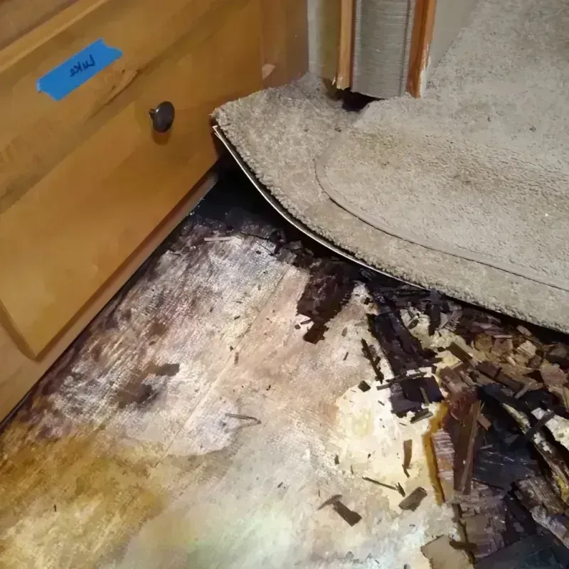 Wood Floor Water Damage in Juneau County, WI